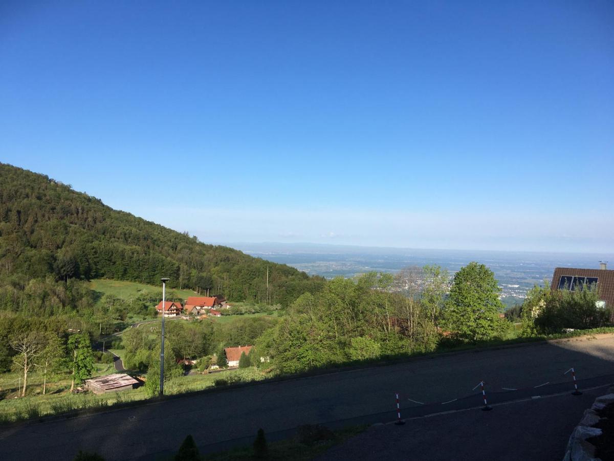 Apartment Ferienwohnung Brandmatt - Weitblick - 54Qm Sasbachwalden Εξωτερικό φωτογραφία