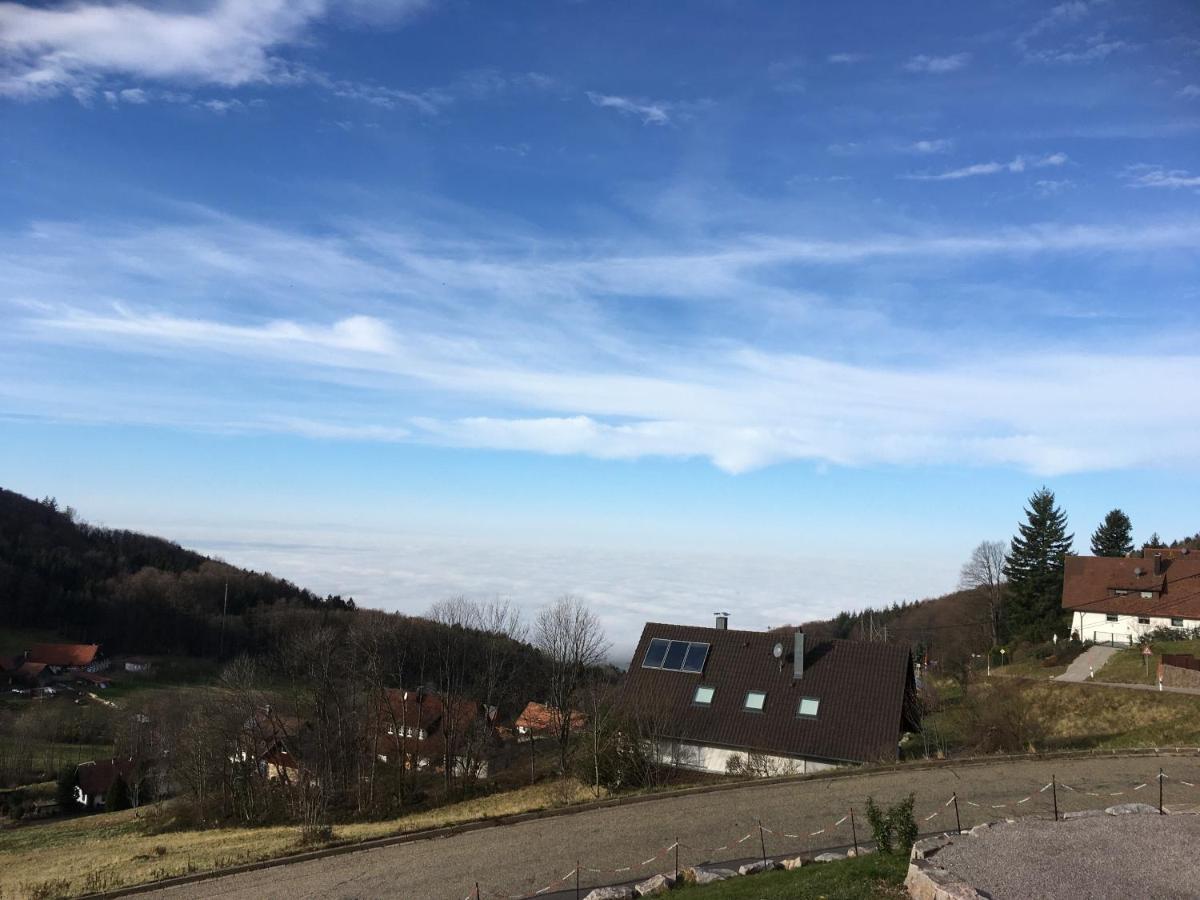 Apartment Ferienwohnung Brandmatt - Weitblick - 54Qm Sasbachwalden Εξωτερικό φωτογραφία